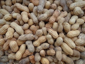 800px-Groundnuts