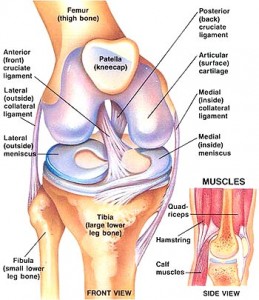 aclinjury