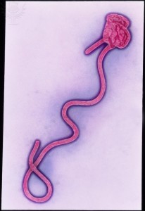 Ebola